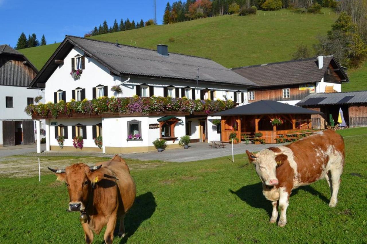 Bio Bauernhof Moas Villa Lunz am See Ngoại thất bức ảnh